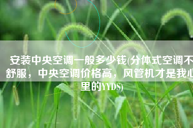 安装中央空调一般多少钱(分体式空调不舒服，中央空调价格高，风管机才是我心里的YYDS)