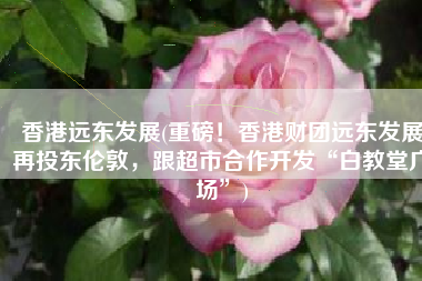 香港远东发展(重磅！香港财团远东发展再投东伦敦，跟超市合作开发“白教堂广场”)