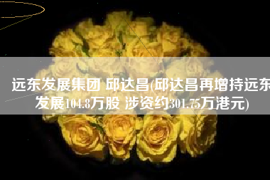 远东发展集团 邱达昌(邱达昌再增持远东发展104.8万股 涉资约301.75万港元)