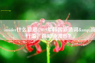 insider什么意思(2019年韩国新造词&流行语，你知道哪些？)
