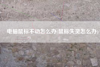 电脑鼠标不动怎么办(鼠标失灵怎么办)