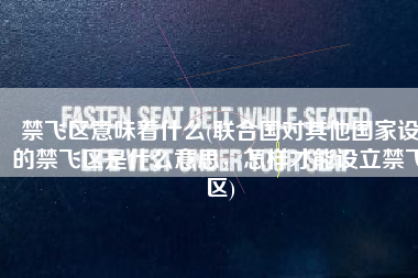 禁飞区意味着什么(联合国对其他国家设的禁飞区是什么意思，怎样才能设立禁飞区)