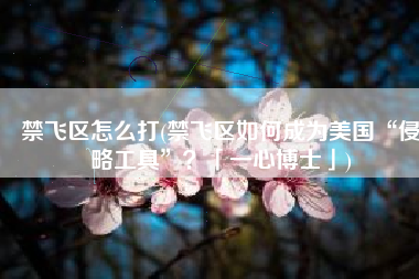禁飞区怎么打(禁飞区如何成为美国“侵略工具”？「一心博士」)
