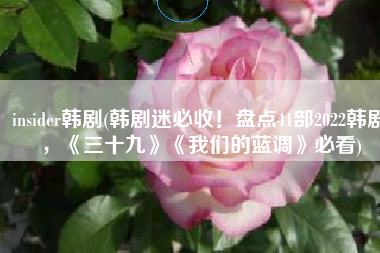 insider韩剧(韩剧迷必收！盘点41部2022韩剧，《三十九》《我们的蓝调》必看)