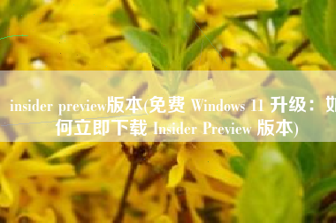 insider preview版本(免费 Windows 11 升级：如何立即下载 Insider Preview 版本)