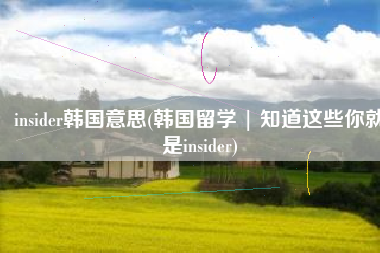 insider韩国意思(韩国留学 | 知道这些你就是insider)