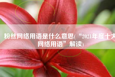 粉丝网络用语是什么意思(“2021年度十大网络用语”解读)