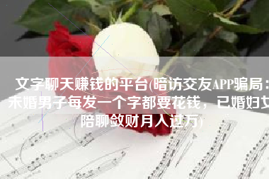 文字聊天赚钱的平台(暗访交友APP骗局：未婚男子每发一个字都要花钱，已婚妇女陪聊敛财月入过万)