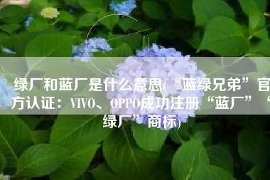 绿厂和蓝厂是什么意思(“蓝绿兄弟”官方认证：VIVO、OPPO成功注册“蓝厂”“绿厂”商标)
