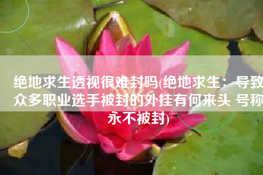 绝地求生透视很难封吗(绝地求生：导致众多职业选手被封的外挂有何来头 号称永不被封)
