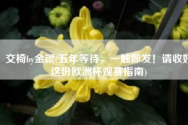 交椅by金银(五年等待，一触即发！请收好这份欧洲杯观赛指南)