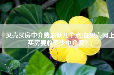 贝壳买房中介费最低几个点(在贝壳网上买房要收多少中介费？)