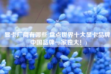 显卡厂商有哪些(盘点世界十大显卡品牌，中国品牌一家独大！)