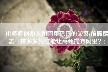 拼多多创始人和阿里巴巴的关系(前瞻覆盖│拼多多凭啥能让高瓴抛弃阿里？)
