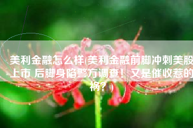 美利金融怎么样(美利金融前脚冲刺美股上市 后脚身陷警方调查！又是催收惹的祸？)