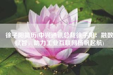 徐子阳简历(中兴通讯总裁徐子阳：融数赋智，助力工业互联网扬帆起航)