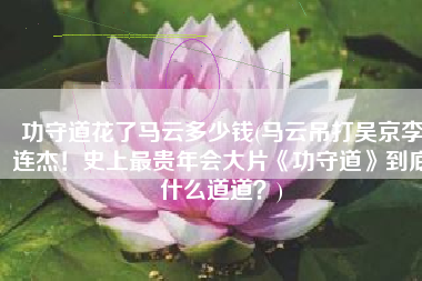 功守道花了马云多少钱(马云吊打吴京李连杰！史上最贵年会大片《功守道》到底什么道道？)