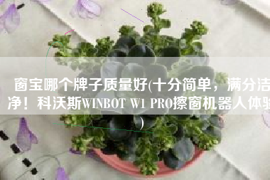窗宝哪个牌子质量好(十分简单，满分洁净！科沃斯WINBOT W1 PRO擦窗机器人体验)