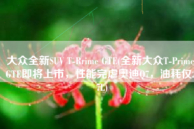 大众全新SUV T-Rrime GTE(全新大众T-Prime GTE即将上市，性能完虐奥迪Q7，油耗仅2.7L)