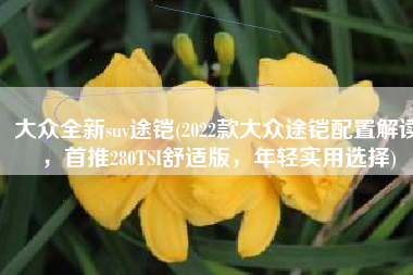 大众全新suv途铠(2022款大众途铠配置解读，首推280TSI舒适版，年轻实用选择)
