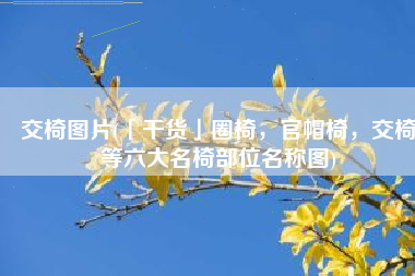 交椅图片(「干货」圈椅，官帽椅，交椅等六大名椅部位名称图)