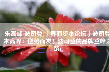 朱高峰 波司登(「界面资本论坛」波司登朱高峰：逆势而发！波司登的品牌登峰之路)