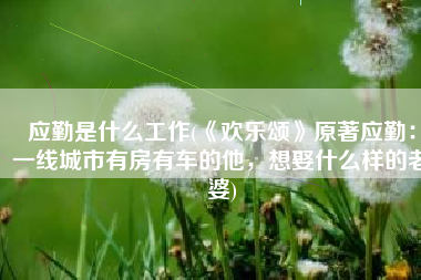应勤是什么工作(《欢乐颂》原著应勤：一线城市有房有车的他，想娶什么样的老婆)