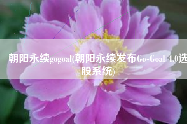 朝阳永续gogoal(朝阳永续发布Go-Goal 4.0选股系统)