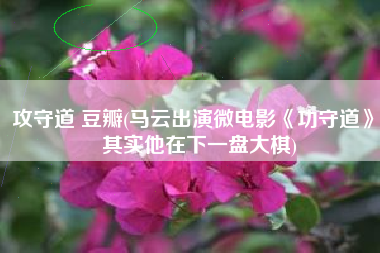 攻守道 豆瓣(马云出演微电影《功守道》，其实他在下一盘大棋)