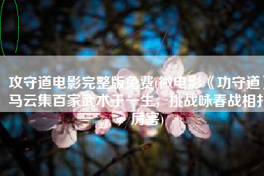 攻守道电影完整版免费(微电影《功守道》马云集百家武术于一生，挑战咏春战相扑，厉害)
