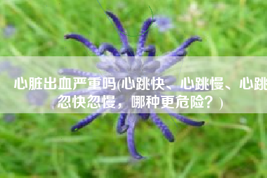 心脏出血严重吗(心跳快、心跳慢、心跳忽快忽慢，哪种更危险？)
