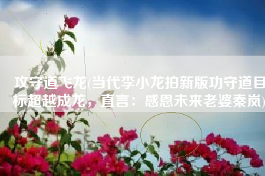 攻守道飞龙(当代李小龙拍新版功守道目标超越成龙，直言：感恩未来老婆秦岚)