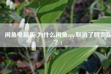 闲鱼电脑版(为什么闲鱼app取消了网页版？)