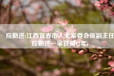 应勤进(江西宜春市人大常委会原副主任应勤进一审获刑12年)
