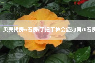 贝壳找房vr看房(手把手教会您如何VR看房)