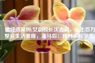 她经济案例(女副校长沈志莉，花上百万整容生活奢靡，落马后：我对不起学生)