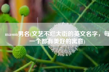mason男名(文艺不烂大街的英文名字，每一个都有美好的寓意)