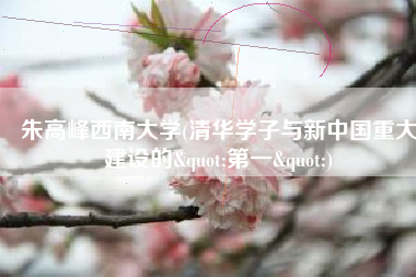 朱高峰西南大学(清华学子与新中国重大建设的"第一")
