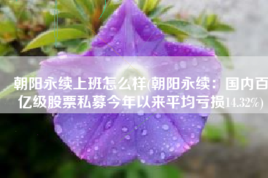 朝阳永续上班怎么样(朝阳永续：国内百亿级股票私募今年以来平均亏损14.32%)