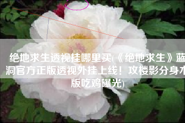 绝地求生透视挂哪里买(《绝地求生》蓝洞官方正版透视外挂上线！攻楼影分身术版吃鸡曝光)