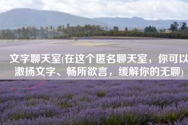 文字聊天室(在这个匿名聊天室，你可以激扬文字、畅所欲言，缓解你的无聊)