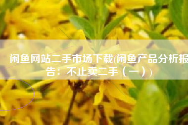 闲鱼网站二手市场下载(闲鱼产品分析报告：不止卖二手（一）)