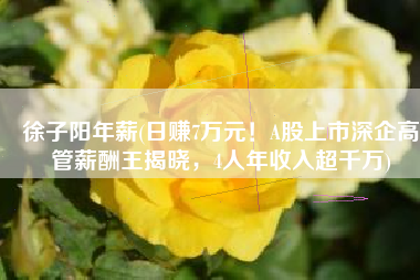 徐子阳年薪(日赚7万元！A股上市深企高管薪酬王揭晓，4人年收入超千万)