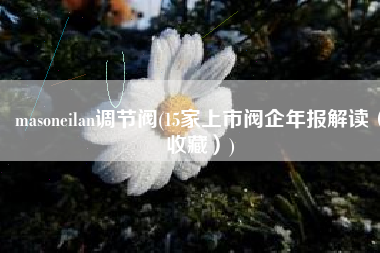 masoneilan调节阀(15家上市阀企年报解读（收藏）)