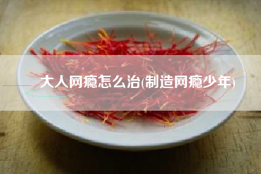 大人网瘾怎么治(制造网瘾少年)