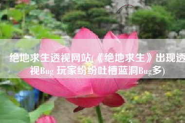 绝地求生透视网站(《绝地求生》出现透视Bug 玩家纷纷吐槽蓝洞Bug多)