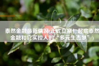 泰然金融最新情况(正式立案！起底泰然金融和它实控人的“多元生态梦”)