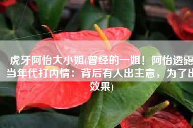 虎牙阿怡大小姐(曾经的一姐！阿怡透露当年代打内情：背后有人出主意，为了出效果)