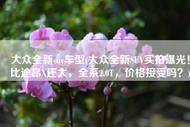 大众全新suv车型(大众全新SUV实拍曝光！比途昂X还大，全系2.0T，价格接受吗？)