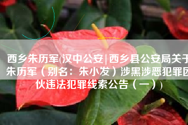 西乡朱历军(汉中公安|西乡县公安局关于朱历军（别名：朱小发）涉黑涉恶犯罪团伙违法犯罪线索公告（一）)